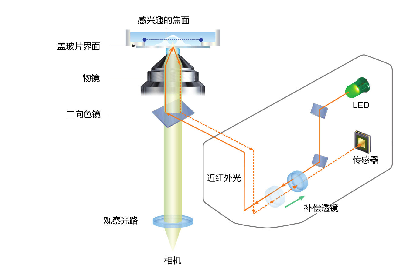 ECLIPSE Ti2尼康倒置生物显微镜-tyc86太阳集团经销