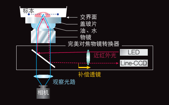 Ti-S-Ti-E,Ti-U尼康三目倒置生物显微镜-tyc86太阳集团经销
